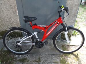 bicicletta da ragazzo