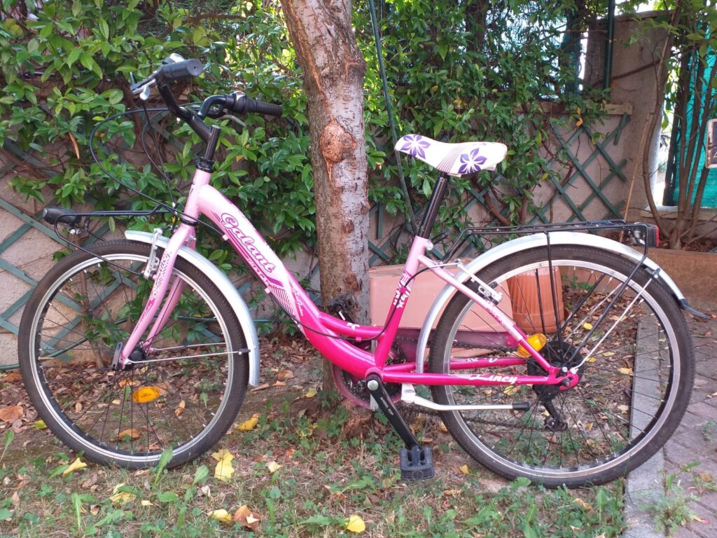 foto bicicletta ragazza